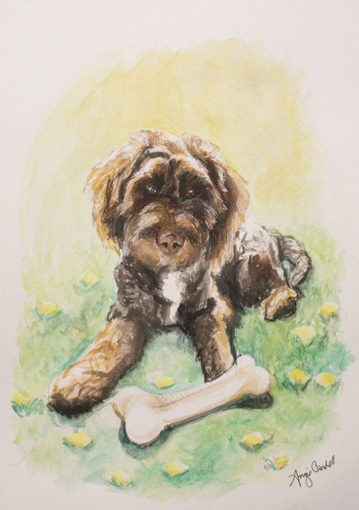 Screenshot 2025-06-07 at 11.27.23 AM